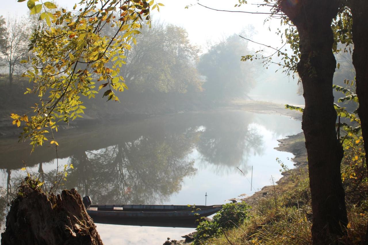 Murmures De Loire Montjean-sur-Loire Bagian luar foto