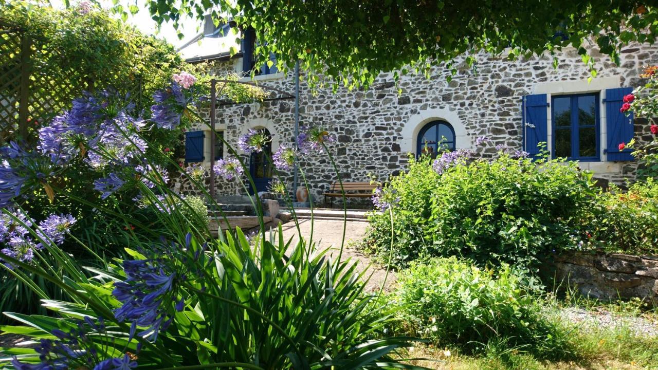 Murmures De Loire Montjean-sur-Loire Bagian luar foto