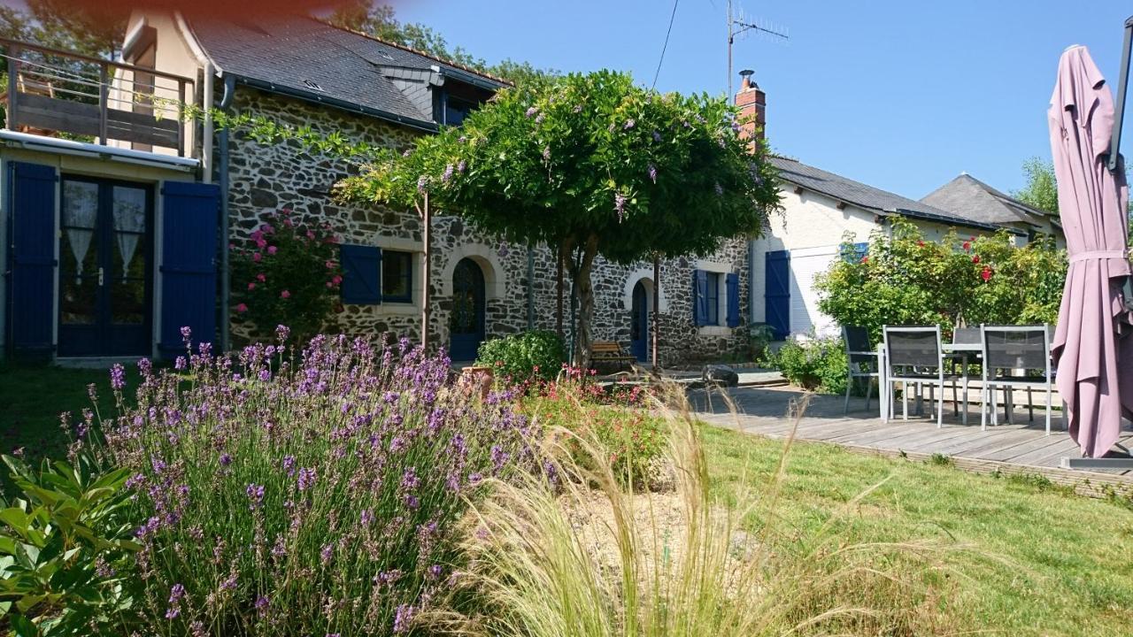 Murmures De Loire Montjean-sur-Loire Bagian luar foto